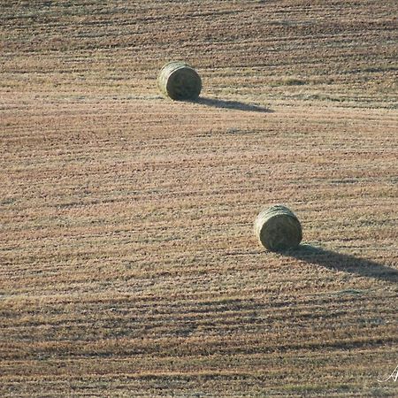 Soleluna San Quirico dʼOrcia Kültér fotó