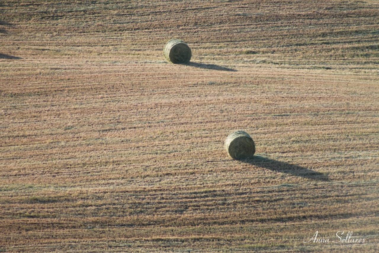 Soleluna San Quirico dʼOrcia Kültér fotó