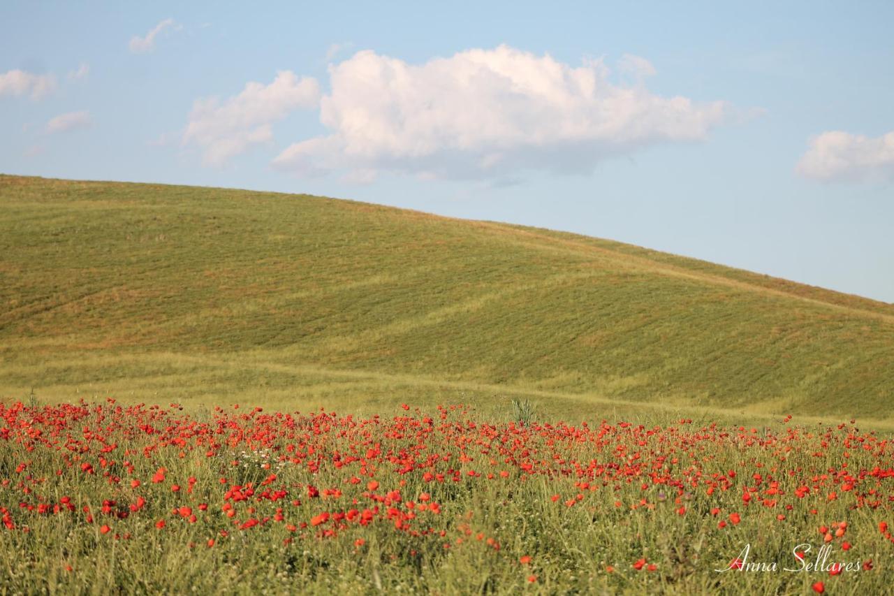 Soleluna San Quirico dʼOrcia Kültér fotó