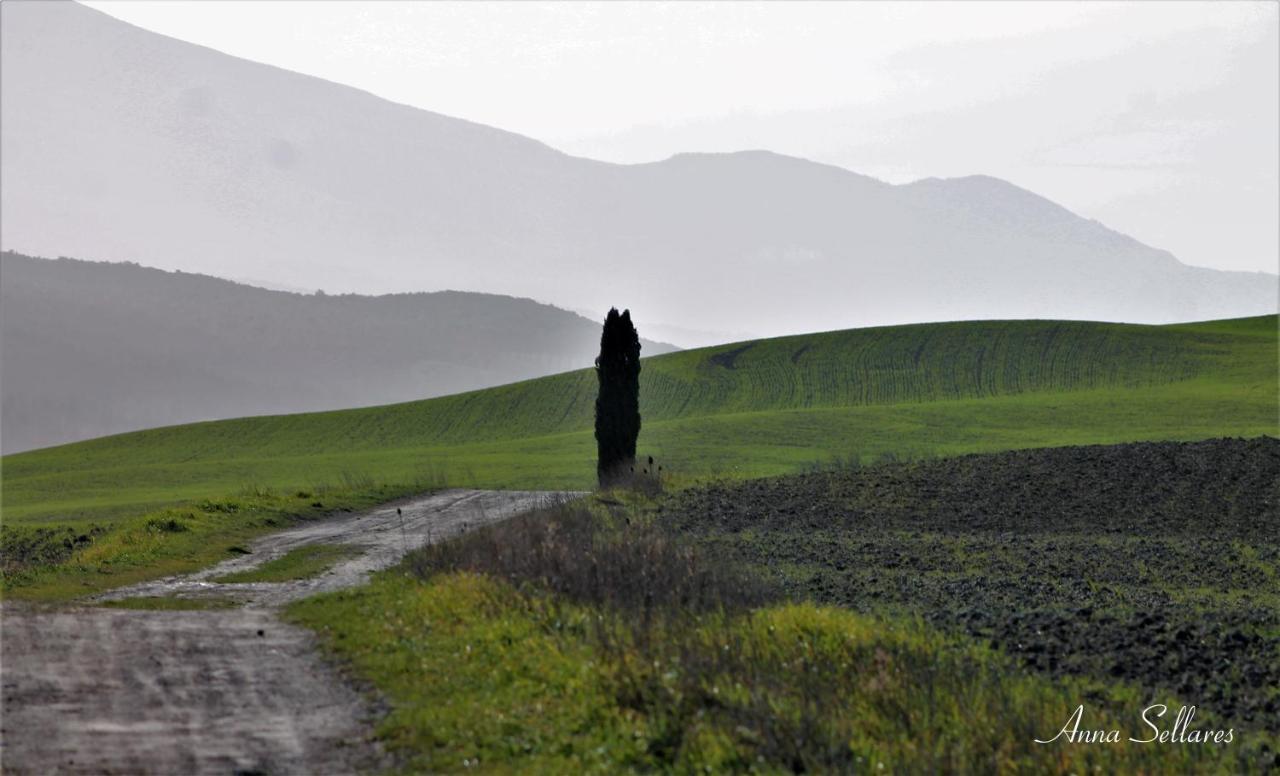 Soleluna San Quirico dʼOrcia Kültér fotó